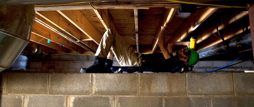 North Bay Shore, NY mold removal